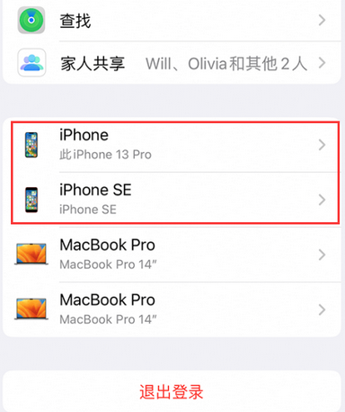 龙泉苹龙泉果维修网点分享iPhone如何查询序列号