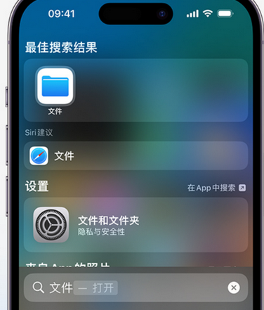 龙泉apple维修中心分享iPhone文件应用中存储和找到下载文件 