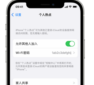 龙泉apple服务站点分享iPhone上个人热点丢失了怎么办 