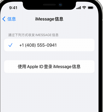 龙泉apple维修iPhone上无法正常发送iMessage信息 