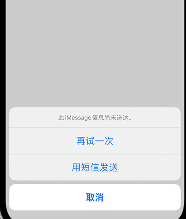 龙泉apple维修iPhone上无法正常发送iMessage信息