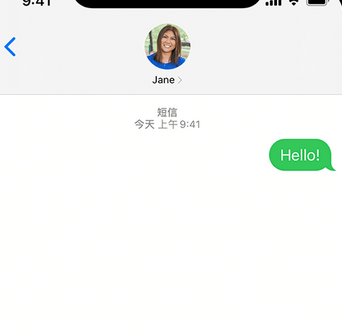 龙泉apple维修iPhone上无法正常发送iMessage信息