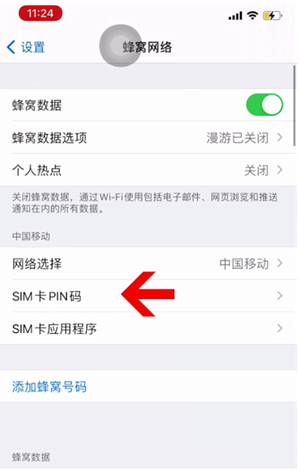 龙泉苹果14维修网分享如何给iPhone14的SIM卡设置密码 