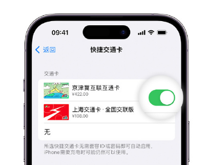 龙泉apple维修点分享iPhone上更换Apple Pay快捷交通卡手绘卡面 