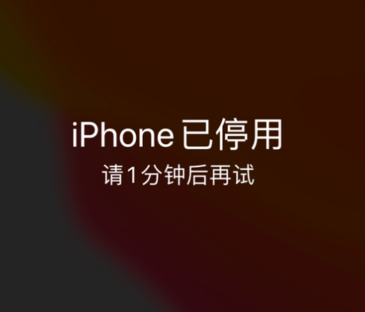 龙泉苹果手机维修分享:iPhone 显示“不可用”或“已停用”怎么办？还能保留数据吗？ 