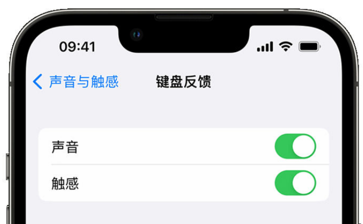 龙泉苹果手机维修分享iPhone 14触感键盘使用方法 