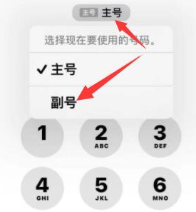 龙泉苹果14维修店分享iPhone 14 Pro Max使用副卡打电话的方法 