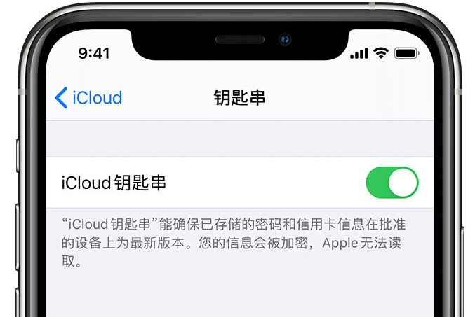 龙泉苹果手机维修分享在 iPhone 上开启 iCloud 钥匙串之后会储存哪些信息 