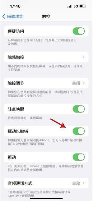 龙泉苹果手机维修分享iPhone手机如何设置摇一摇删除文字 