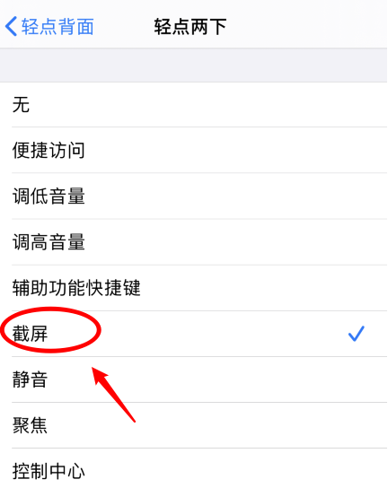 龙泉苹果手机维修分享iPhone12如何启用双击截屏 